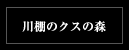 川棚のクスの森