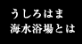 うしろはま海水浴場とは